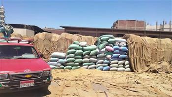 توريد أكثر من 113 ألف طن قمح إلى الصوامع والشون ببني سويف