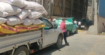 محافظ الجيزة : استلام 66 ألف طن قمح محلي بمراكز التوريد والتخزين منذ بداية موسم الحصاد