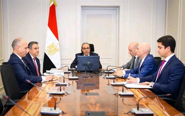 وزير الخارجية يعقد اجتماعًا افتراضيًا مع رؤساء البعثات المصرية بالخارج