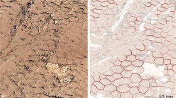صدمة.. العثور على عسل ووافل على سطح المريخ!