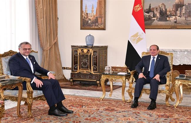 الرئيس السيسي يؤكد ضرورة العمل على الوقف الفوري لإطلاق النار في قطاع غزة