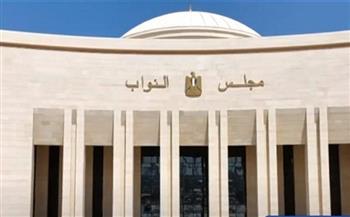 رابطة الأندية تطالب مجلس النواب بتعديلات قانون الرياضة بشأن الاستثمار