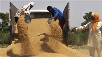 محافظ الفيوم: توريد 189 ألف طن من القمح المحلي إلى صوامع وشون المحافظة