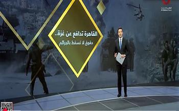 عمرو خليل: مصر ستظل حائط الصد الأول المدافع عن حقوق الشعب الفلسطيني التاريخية 