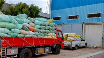 محافظ البحيرة: توريد أكثر من 26 ألف طن قمح للشون والصوامع