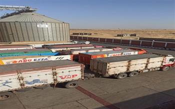 توريد أكثر من 424 ألف طن قمح حتى الآن بالوادي الجديد