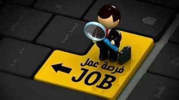 5000 وظيفة من وزارة العمل.. اعرف الأماكن والتخصصات المطلوبة