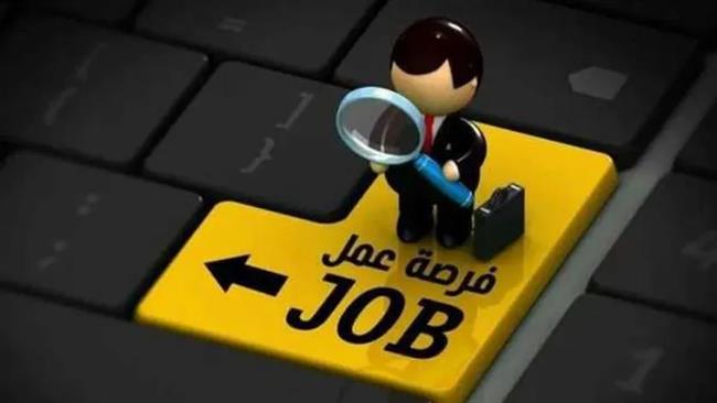 5000 وظيفة من وزارة العمل.. اعرف الأماكن والتخصصات المطلوبة