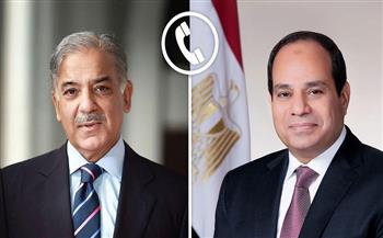 الرئيس السيسي يؤكد أهمية الحفاظ على اتفاق وقف إطلاق النار بين الهند وباكستان