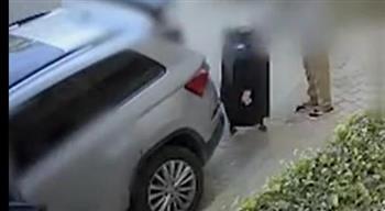 مجموعة أشخاص بحوزتهم حقائب كبيرة.. كاميرات المراقبة تسجل لحظة سرقة كنز الدجوي