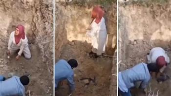 صدمة في تركيا.. نبش مقبرة لكلاب نفقت بسبب أمراض خطيرة 