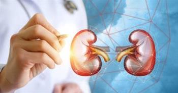 عادات خاطئة تدمر وظائف الكلى 