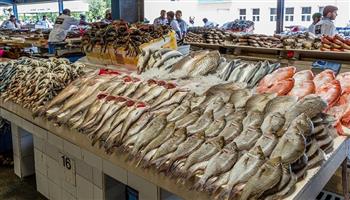 استقرار أسعار الأسماك في سوق العبور اليوم الجمعة 23 مايو 2025.. البلطي بـ90 جنيهًا   