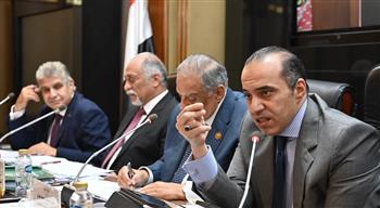 محمود فوزي: مشروع قانون الدوائر الانتخابية يستند إلى بيانات إحصائية محدثة لتطوير البنية الإدارية
