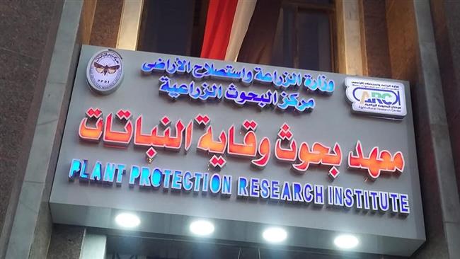 "وقاية النباتات" ينظم برنامجا تدريبيا حول تربية نحل العسل للمبتدئين