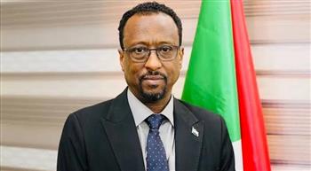 الناطق باسم الحكومة السودانية يعلن تحرير مدينة الدبيبات في ولاية جنوب كردفان