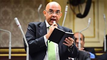النائب عمرو هندى عضو مجلس النواب عن المصريين بالخارج: الطيور المهاجرة كنز العملة الصعبة