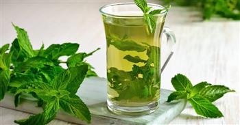 النعناع يساعدك في التخلص من الوزن