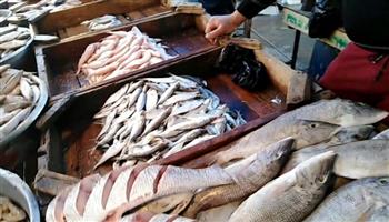 استقرار أسعار الأسماك في سوق العبور اليوم الأحد 25 مايو 2025.. البلطي بـ92 جنيهاً