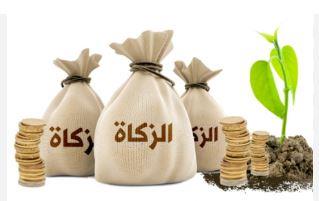هل يجوز إخراج الزكاة لابنتي المتزوجة؟.. أمين الفتوى يوضح