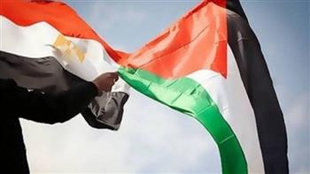 مصر المدافع الأكبر عن القضية الفلسطينية.. جهود دبلوماسية مستمرة وحشد الجهود لوقف الحرب على غزة
