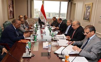وزير الكهرباء يبحث مع وزير النفط السوداني إعادة تأهيل الشبكة الكهربائية في السودان