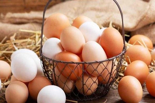 أسعار البيض بأنواعه اليوم الثلاثاء 27 مايو 2025