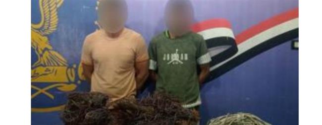 القبض على عاطل سرق كمية أسلاك كهربائية من مدرسة بالقاهرة