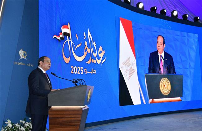 الرئيس السيسي يوجه بتنفيذ مبادرة لتنمية مهارات الشباب وتأهيلهم لسوق العمل    