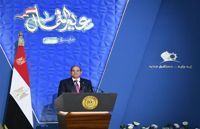 الرئيس السيسي: نسعى لإبرام اتفاقيات دولية لفتح فرص أمام العمالة المصرية المتخصصة
