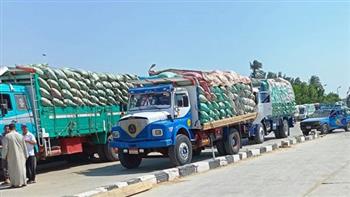 محافظ بنى سويف: توريد نحو 47 ألف طن قمح بالصوامع والشون منذ بدء الموسم