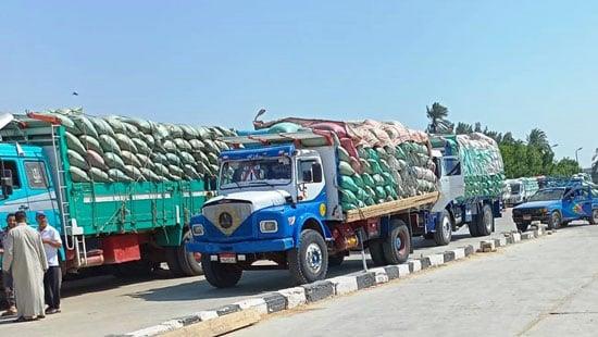 محافظ بنى سويف: توريد نحو 47 ألف طن قمح بالصوامع والشون منذ بدء الموسم