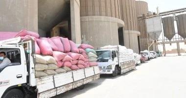 قنا: توريد 57 ألفًا و622 طنًا من محصول القمح للصوامع والشون بالمحافظة 