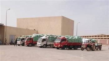 تموين المنيا: توريد أكثر من 120 ألف طن قمح