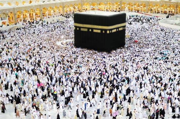 لحج آمن خال من الأمراض المعدية ...اتبع الآتى