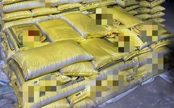 مديرية الصحة بالقليوبية تضبط 875 كجم من الفول المدشوش غير الصالح للاستهلاك الآدمي بشبين القناطر