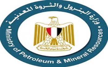 افتتاح مشروع بأسوان يهدف إلى تحويل إحدى القرى للاكتفاء الذاتي من الغاز