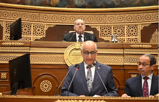 مجلس الشيوخ يحيل دراسة الأمن السيبراني إلى الحكومة