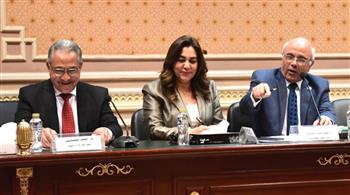 ممثل الجهاز المركزي للتعبئة العامة والإحصاء يستعرض إحصائيات عام 2017 عن الإيجارات القديمة بالنواب