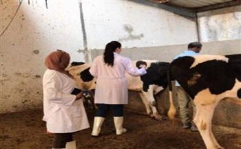 قوافل بيطرية تجوب منطقة بحر البقر جنوب بورسعيد لحماية الثروة الحيوانية