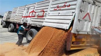 محافظ أسوان: توريد 158 ألفًا و 676 طنًا من القمح ضمن موسم 2025