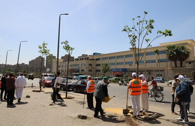 ممدوح رشوان: زراعة 1000 شجرة جديدة بالأميرية ضمن مشروع التكيف المناخي