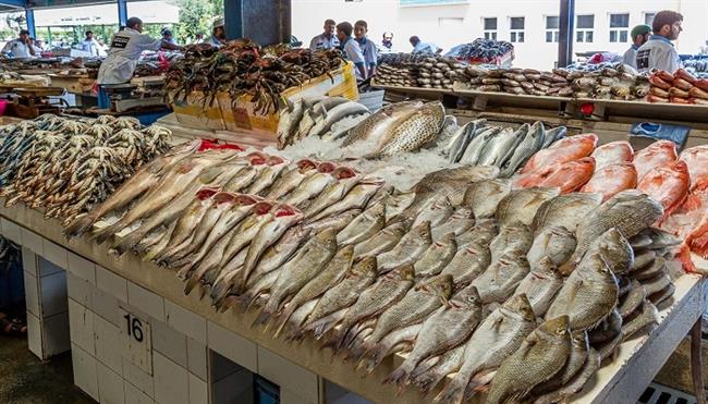 أسعار الأسماك اليوم الجمعة 9-5-2025 في سوق العبور.. الفيليه بـ 250 جنيها   