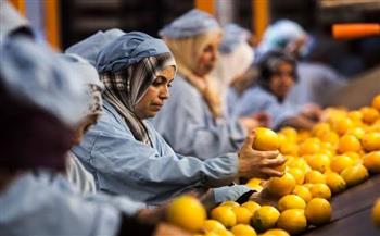 أسواق العالم تفتح أبوابها لمحاصيلنا الزراعية.. و2025 «عام الزيادة» صادرات بـ«المليارات»