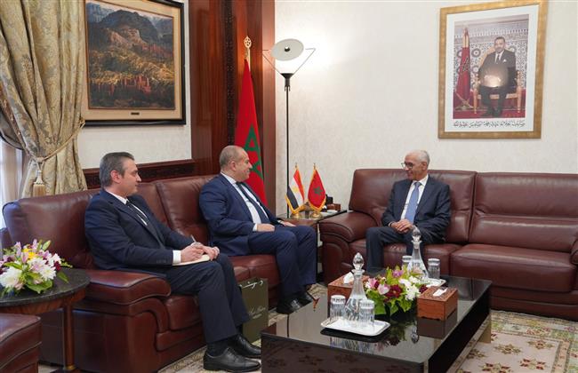 لقاء السفير المصري في الرباط مع رئيس مجلس النواب المغربي