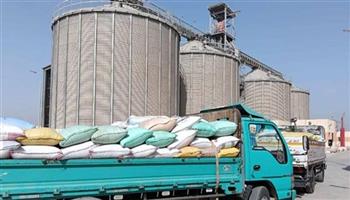 بني سويف: توريد 256 ألف طن قمح بالصوامع حتى الآن