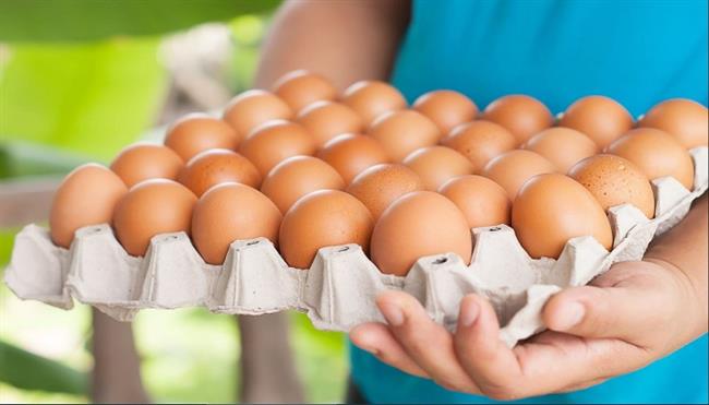 أسعار البيض اليوم الاثنين 2-6-2025 في المزرعة.. كم سجلت الكرتونة؟