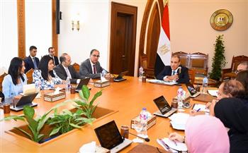 وزير الخارجية يتابع جهود الوزارة في رعاية المصريين بالخارج