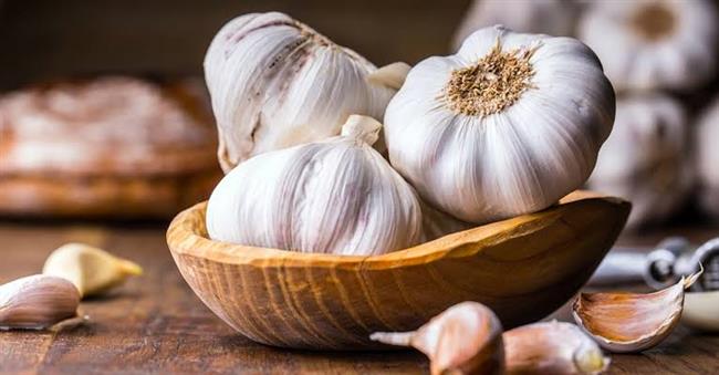 تعرف على فوائد الثوم الصحية
