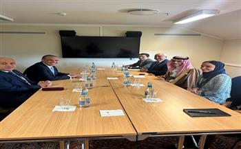 وزير الخارجية ونظيره السعودي يتبادلان الرؤى إزاء مختلف القضايا الإقليمية ذات الاهتمام المشترك